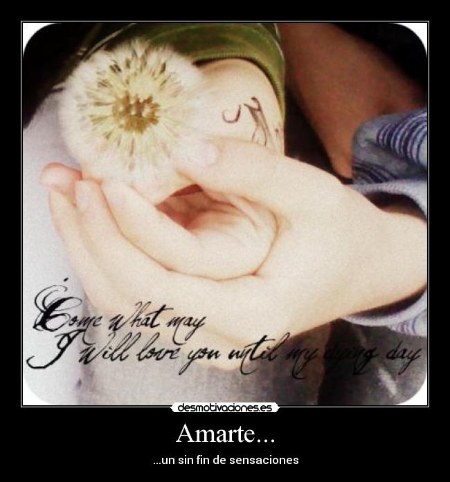 Amarte... -