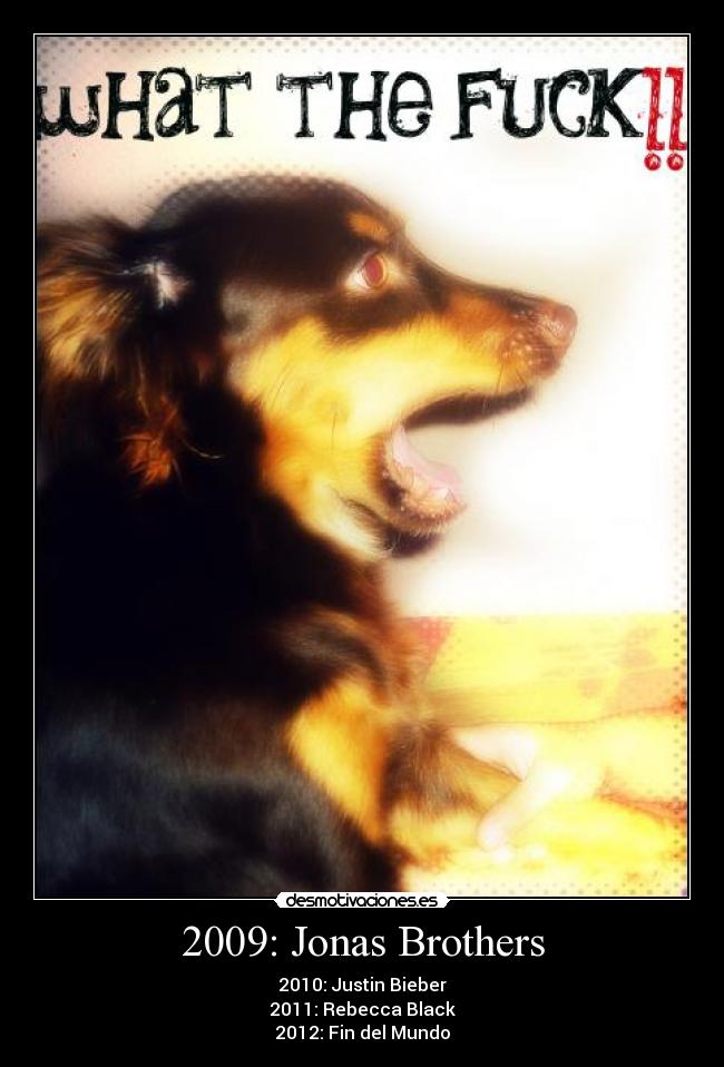 2009: Jonas Brothers -