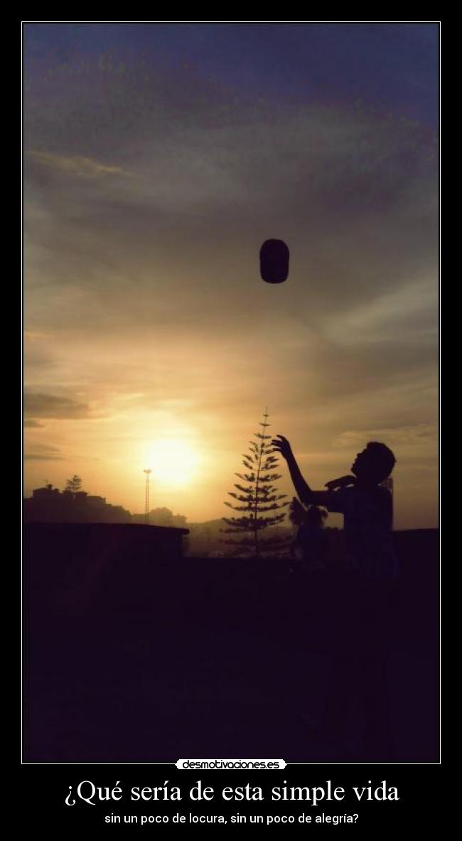 ¿Qué sería de esta simple vida - sin un poco de locura, sin un poco de alegría?