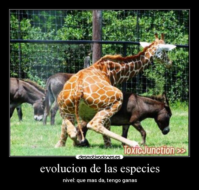 evolucion de las especies - 