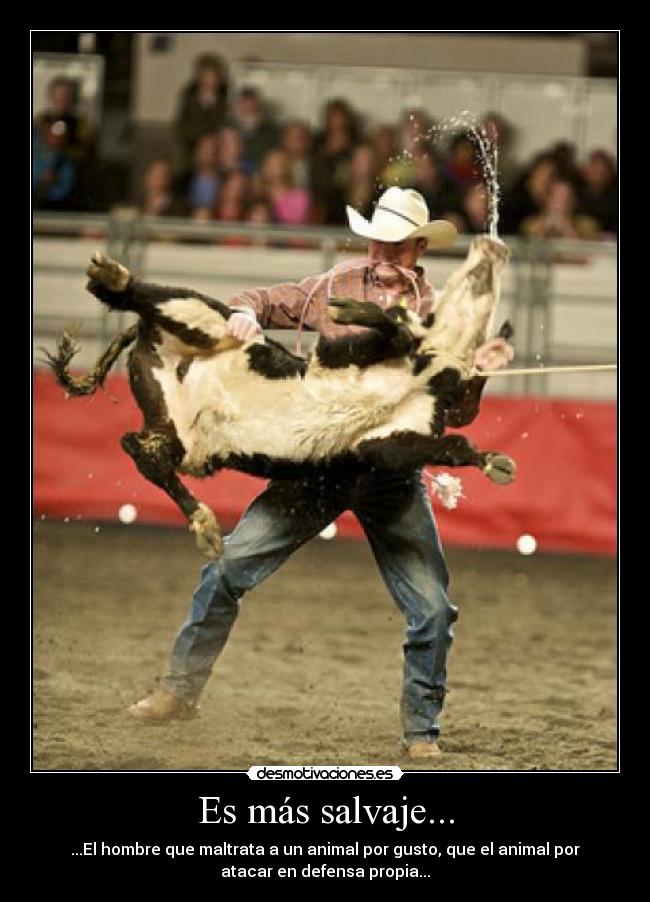 carteles caro yagami desmotivaciones