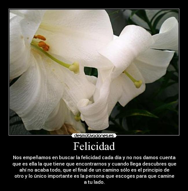 Felicidad -