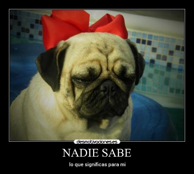 NADIE SABE - lo que significas para mi