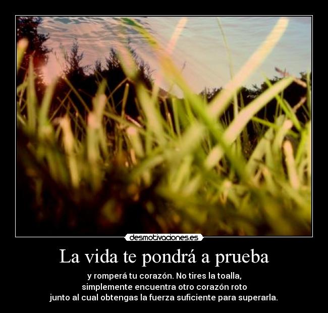 La vida te pondrá a prueba -