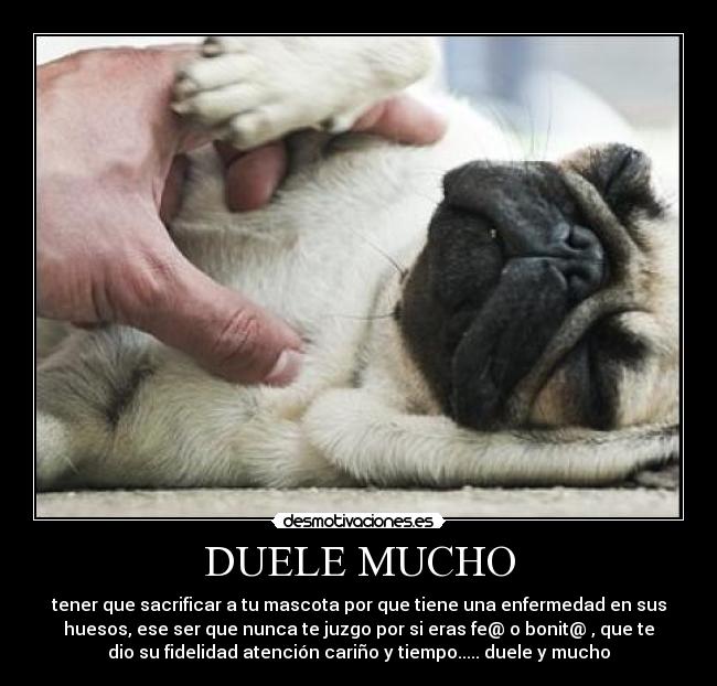 DUELE MUCHO - 