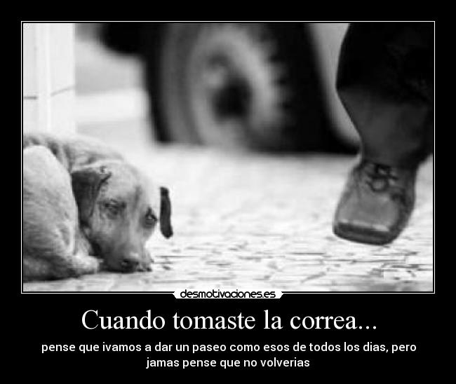 Cuando tomaste la correa... -