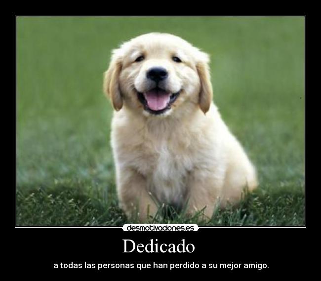 Dedicado - a todas las personas que han perdido a su mejor amigo.