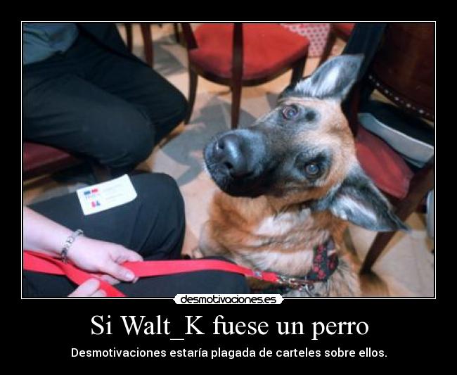 Si Walt_K fuese un perro - Desmotivaciones estaría plagada de carteles sobre ellos.