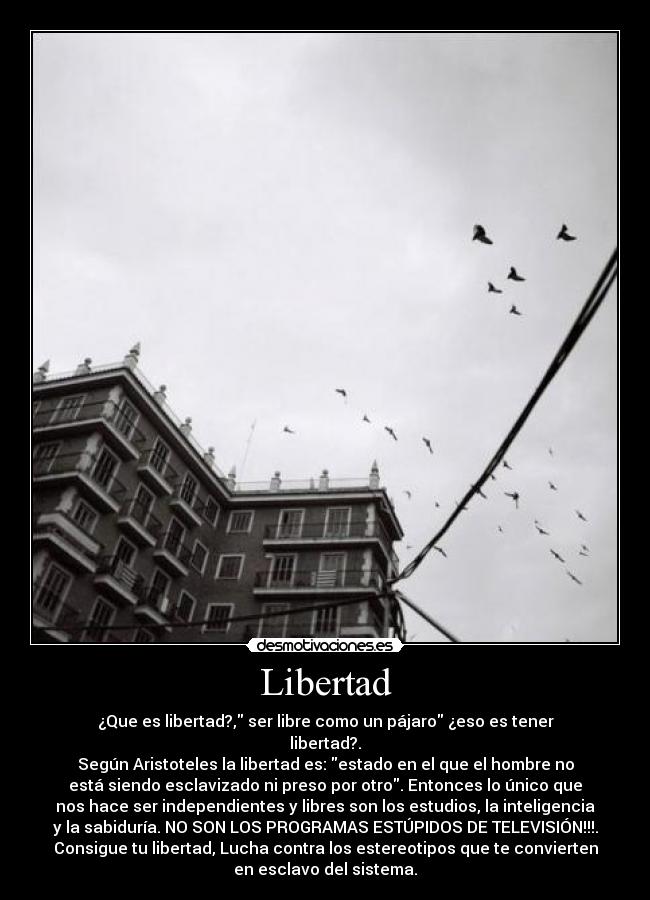 Libertad - ¿Que es libertad?, ser libre como un pájaro ¿eso es tener
libertad?.
Según Aristoteles la libertad es: estado en el que el hombre no
está siendo esclavizado ni preso por otro. Entonces lo único que
nos hace ser independientes y libres son los estudios, la inteligencia
y la sabiduría. NO SON LOS PROGRAMAS ESTÚPIDOS DE TELEVISIÓN!!!.
Consigue tu libertad, Lucha contra los estereotipos que te convierten
en esclavo del sistema.