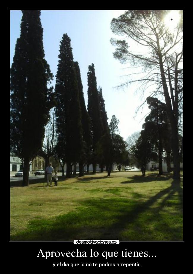 Aprovecha lo que tienes... - 