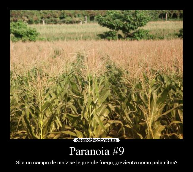 Paranoia #9 - 