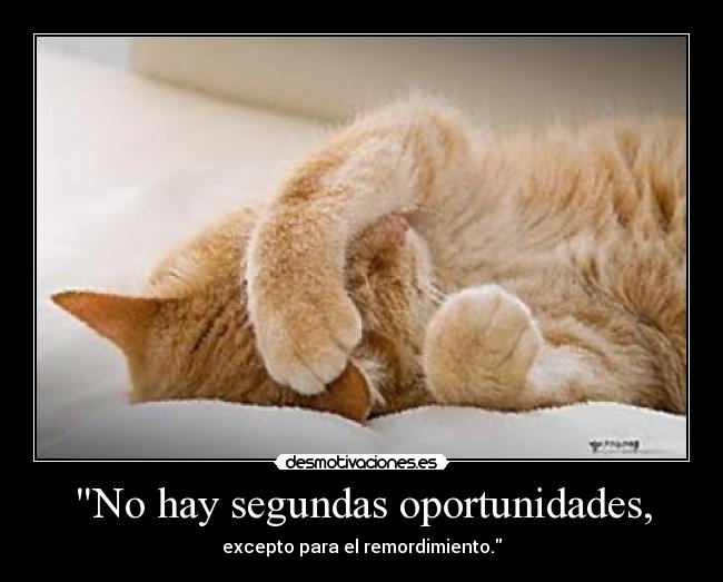 No hay segundas oportunidades, -