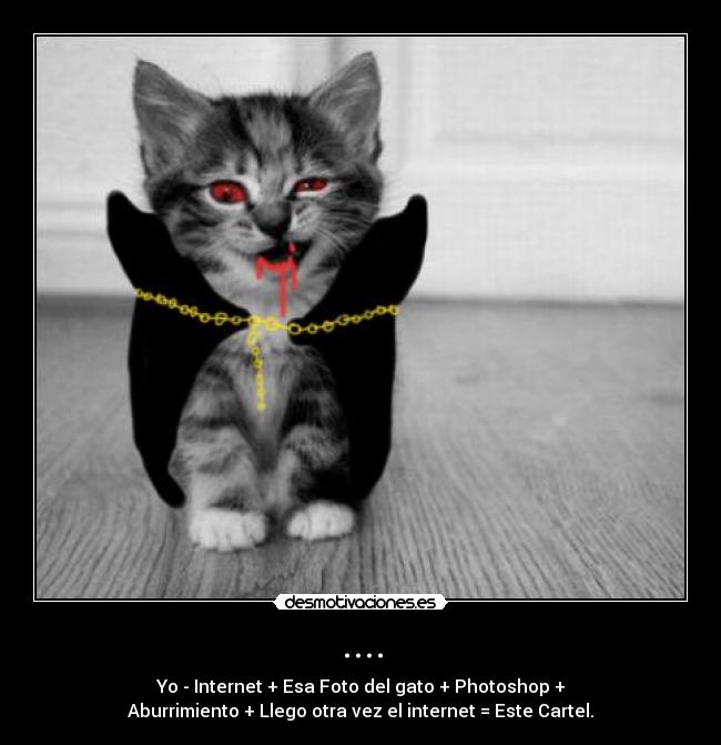 .... - Yo - Internet + Esa Foto del gato + Photoshop +
Aburrimiento + Llego otra vez el internet = Este Cartel.