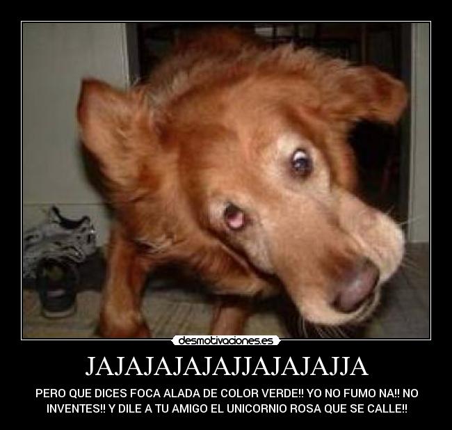 JAJAJAJAJAJJAJAJAJJA -