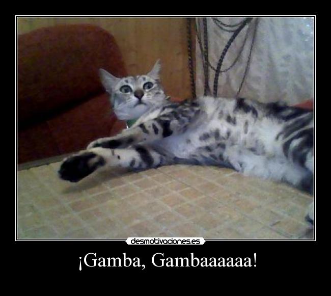 ¡Gamba, Gambaaaaaa! - 