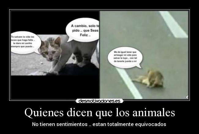 Quienes dicen que los animales - No tienen sentimientos .. estan totalmente equivocados