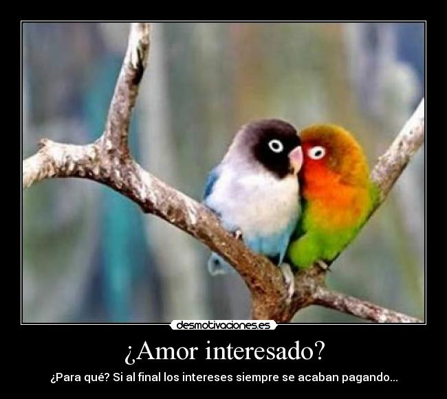 ¿Amor interesado? - ¿Para qué? Si al final los intereses siempre se acaban pagando...