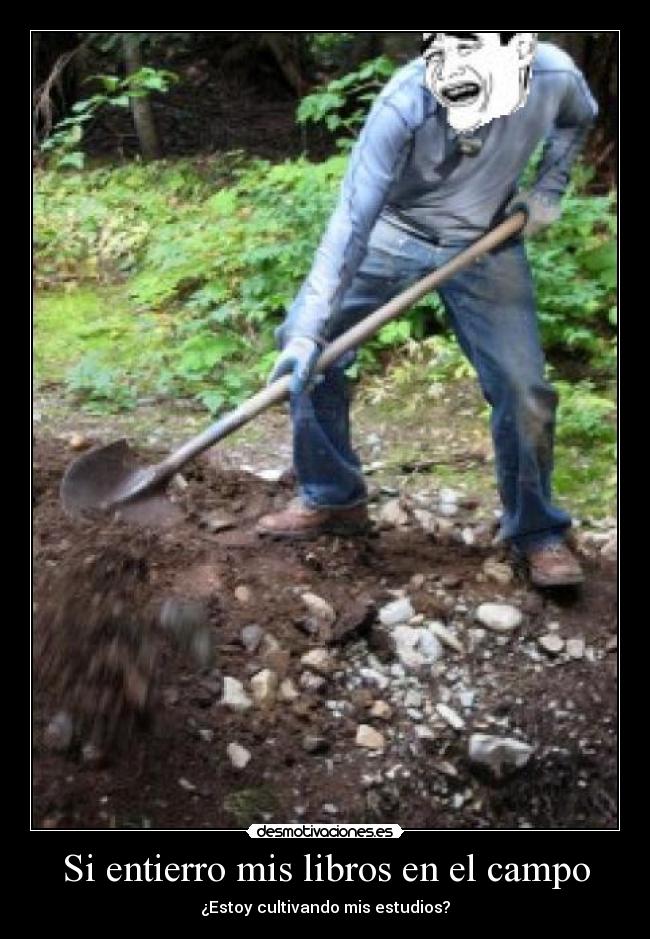 Si entierro mis libros en el campo - 