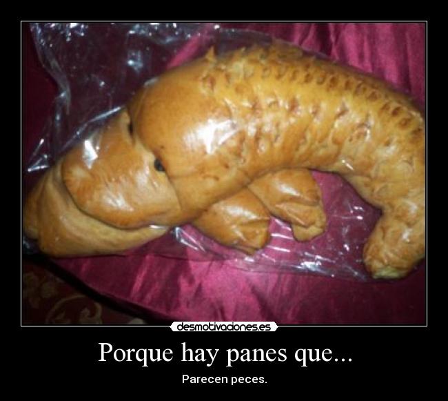 Porque hay panes que... - Parecen peces.