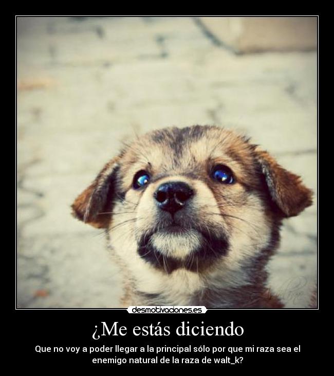 ¿Me estás diciendo - Que no voy a poder llegar a la principal sólo por que mi raza sea el
enemigo natural de la raza de walt_k?