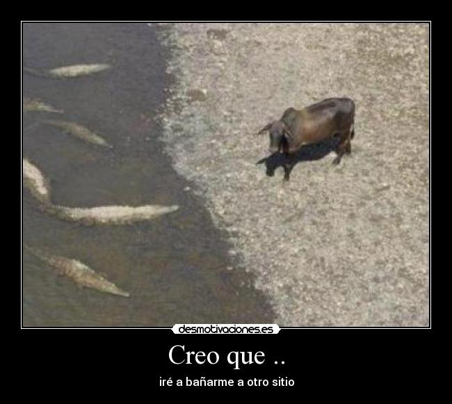 Creo que .. - 