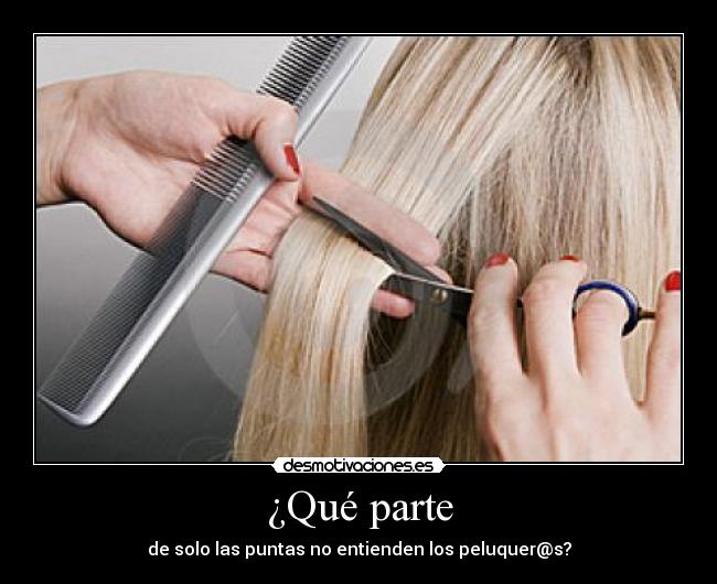 ¿Qué parte - de solo las puntas no entienden los peluquer@s?