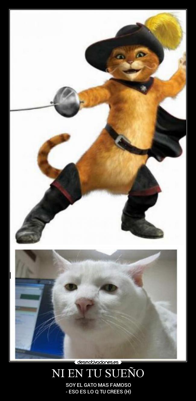 NI EN TU SUEÑO - SOY EL GATO MAS FAMOSO
- ESO ES LO Q TU CREES (H)