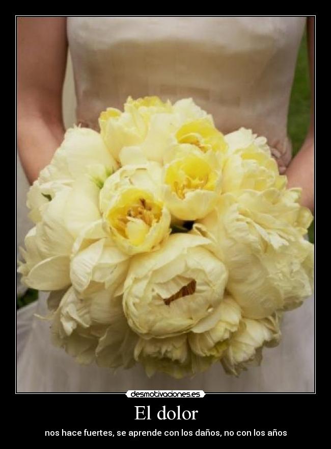 El dolor - nos hace fuertes, se aprende con los daños, no con los años
