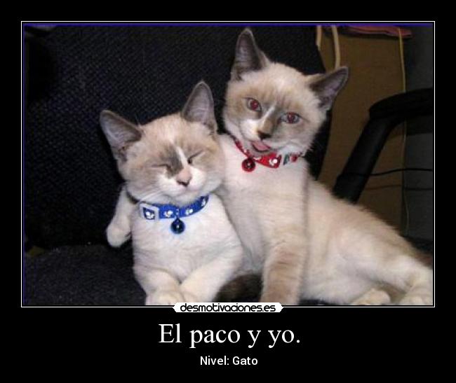 El paco y yo. -