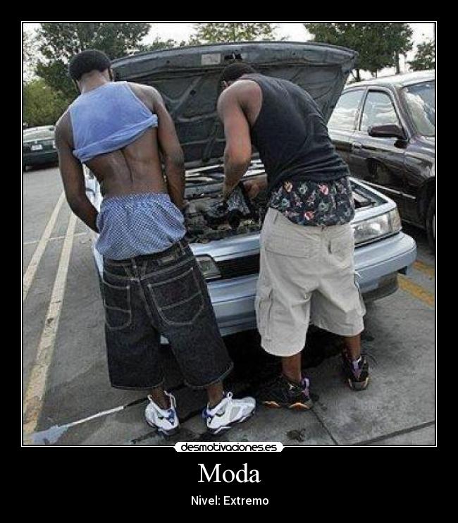 Moda -