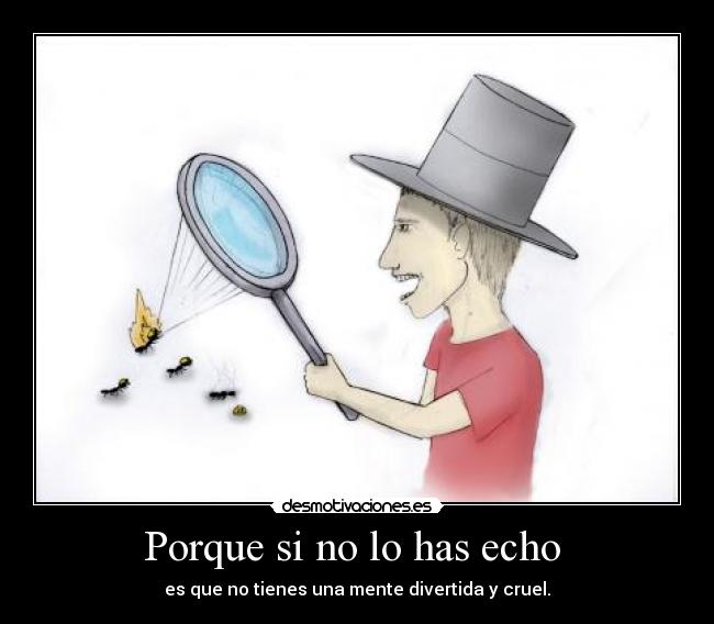 Porque si no lo has echo  - 