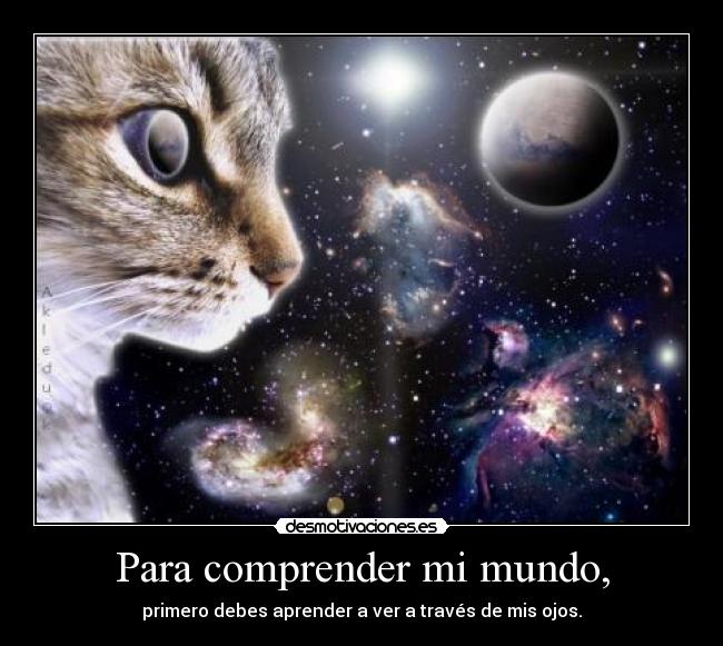 Para comprender mi mundo, -