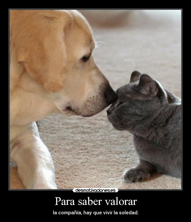 Para saber valorar -