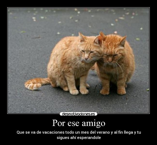 Por ese amigo - 