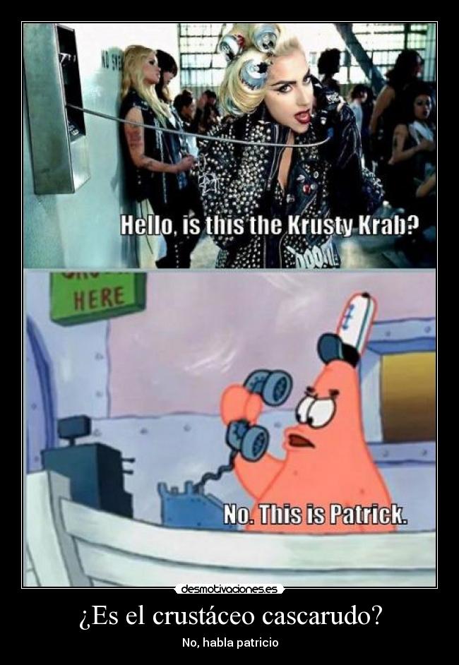 ¿Es el crustáceo cascarudo? - No, habla patricio