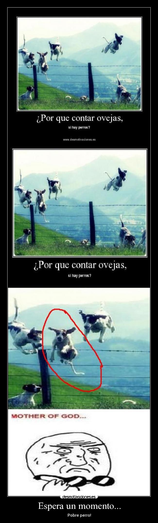 Espera un momento... - Pobre perro!