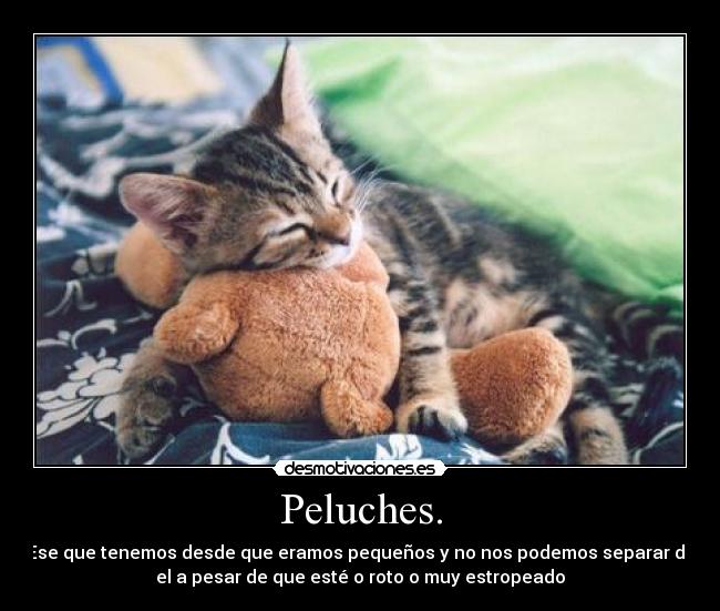 Peluches. - 