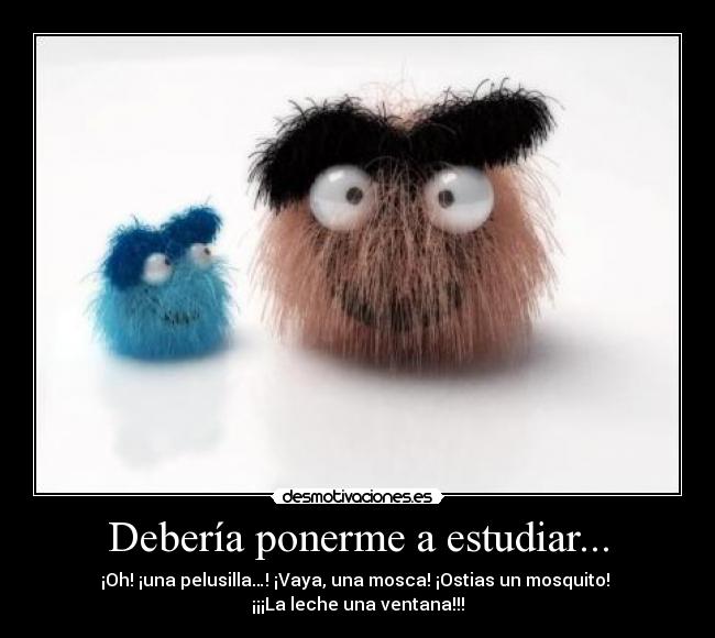 Debería ponerme a estudiar... -