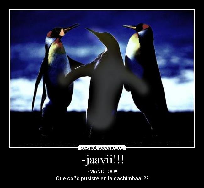 -jaavii!!! - 