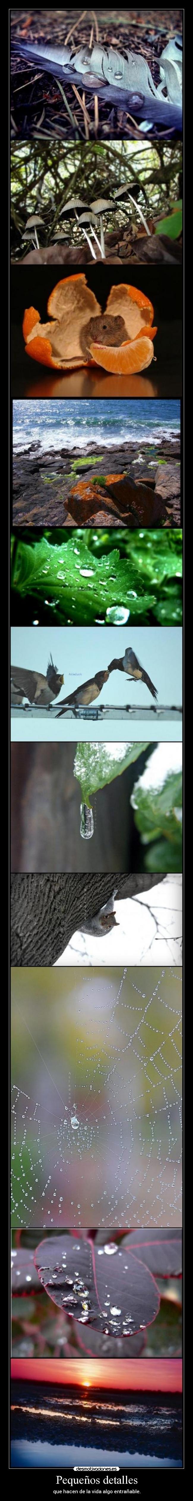 Pequeños detalles -