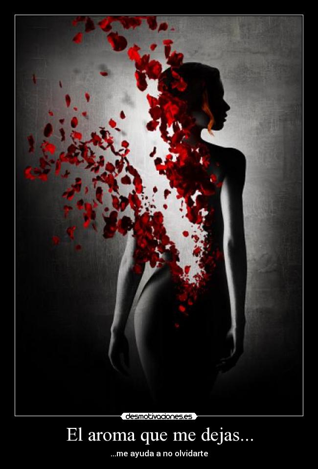 El aroma que me dejas... - ...me ayuda a no olvidarte
