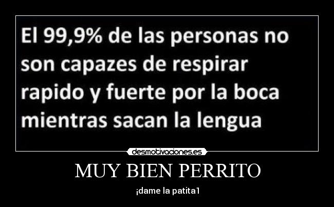 MUY BIEN PERRITO - ¡dame la patita1