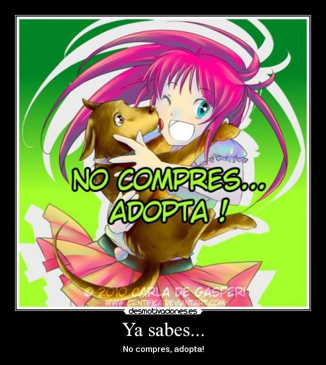 Ya sabes... - No compres, adopta!
