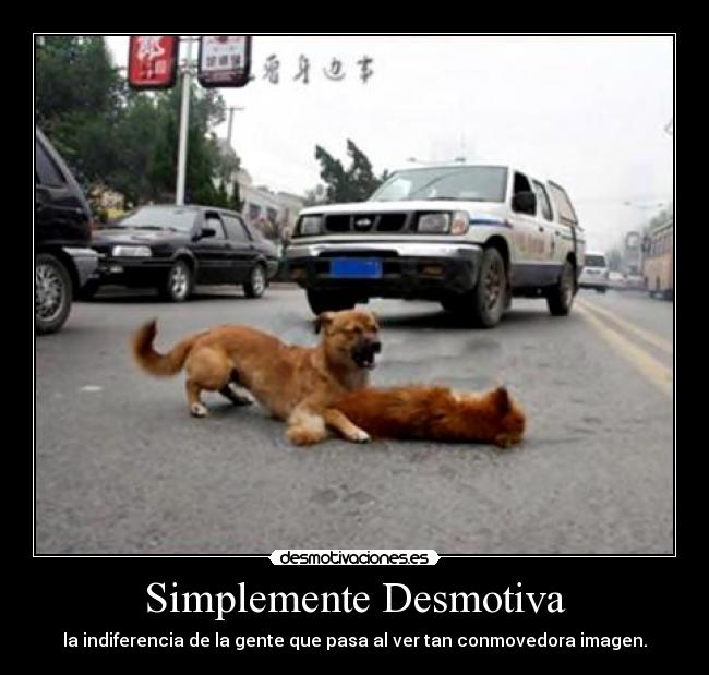 Simplemente Desmotiva -