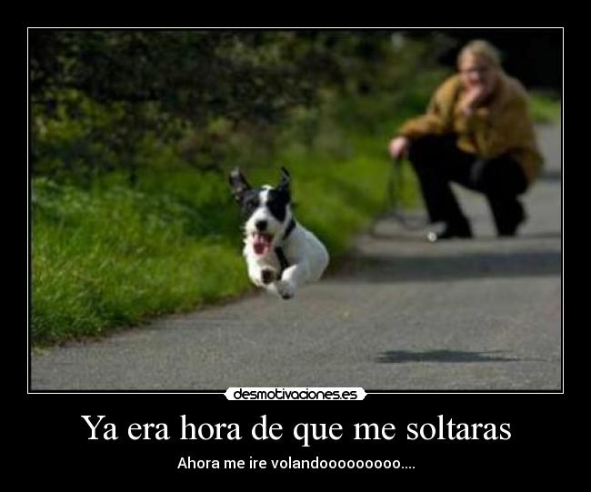 Ya era hora de que me soltaras -