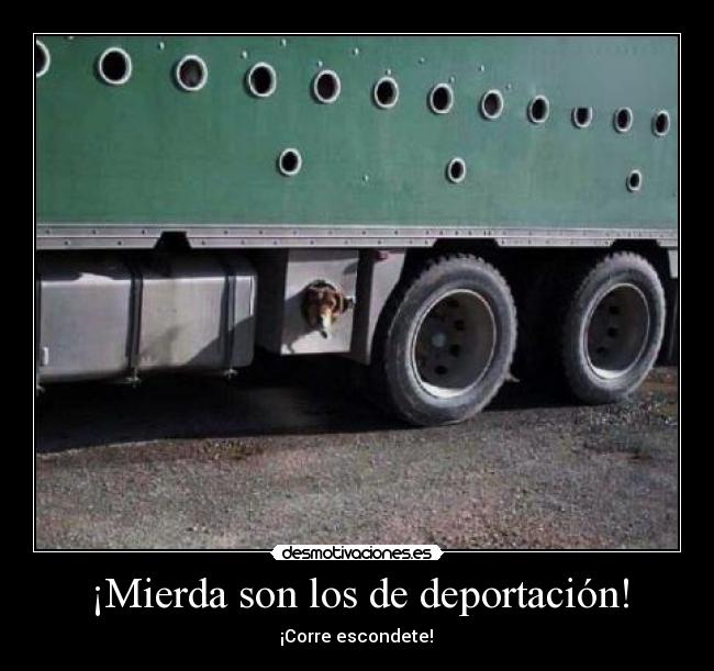 ¡Mierda son los de deportación! - ¡Corre escondete!