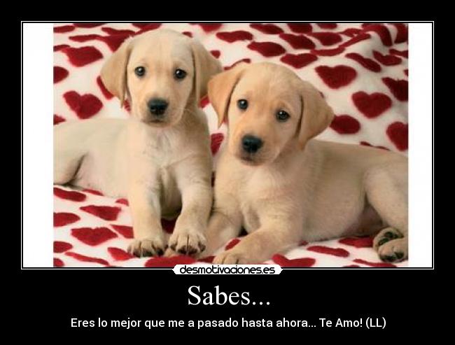 carteles tekieromaxoo desmotivaciones