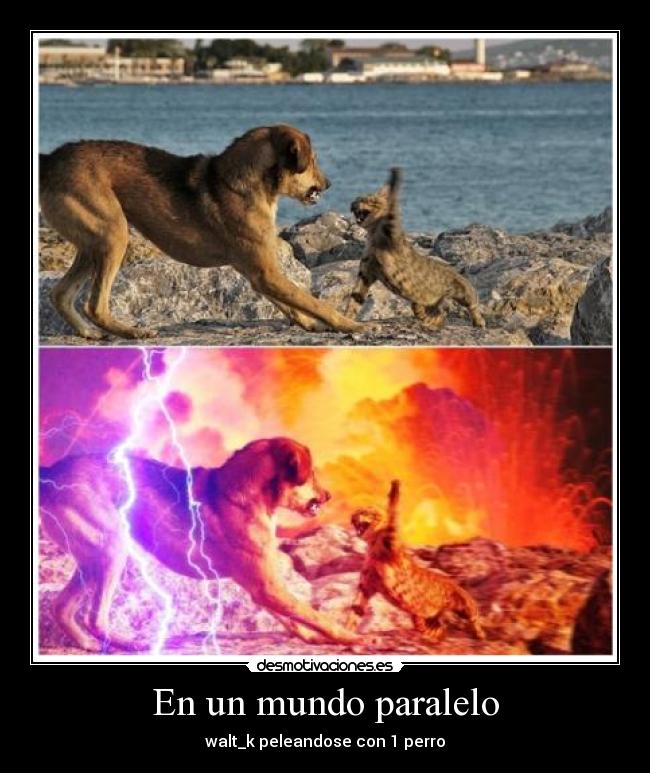 En un mundo paralelo -