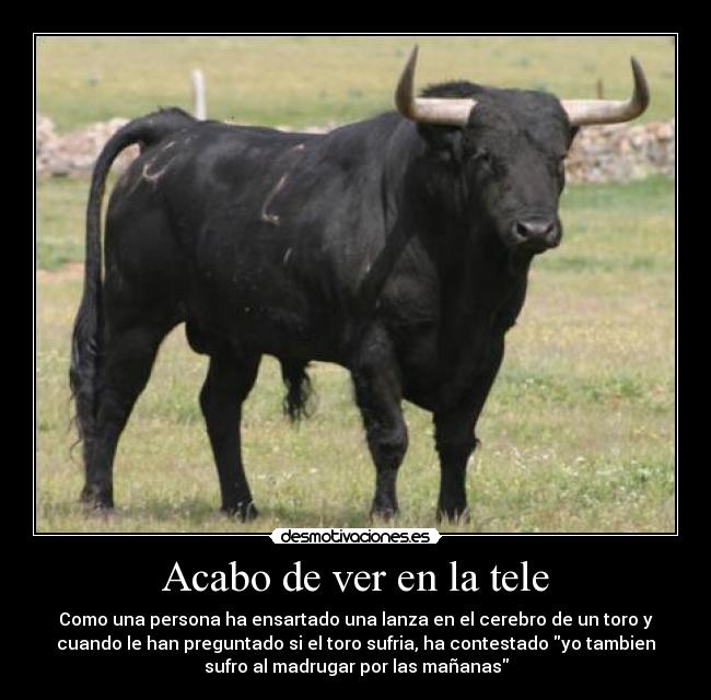 Acabo de ver en la tele -