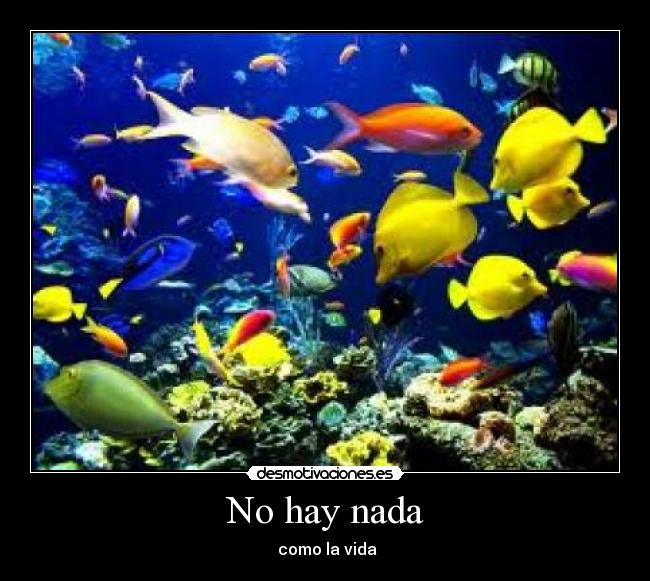 carteles 1134690 desmotivaciones